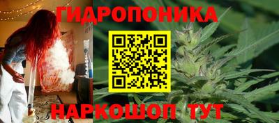 мяу мяу мука Абакан