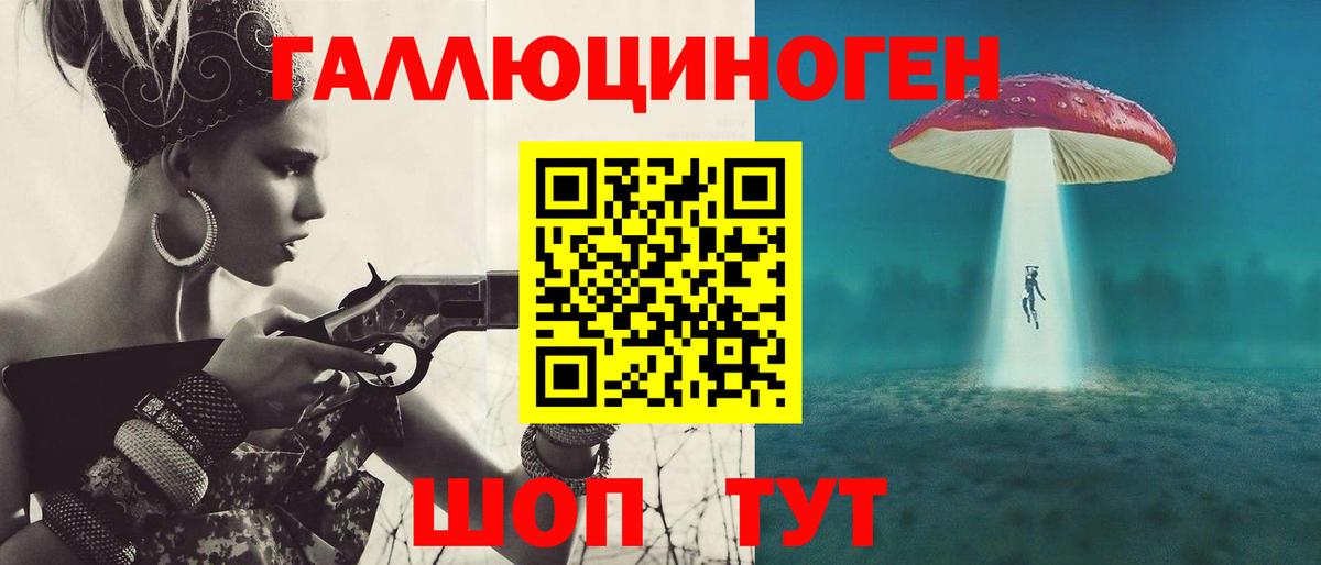 Псилоцибиновые грибы Cubensis Аргун