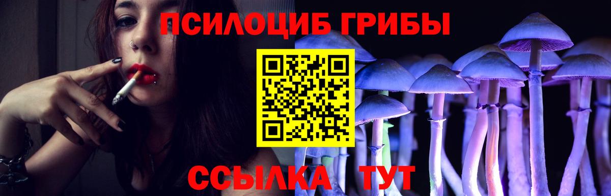 Псилоцибиновые грибы ЛСД  Вход с VPN  Аргун 